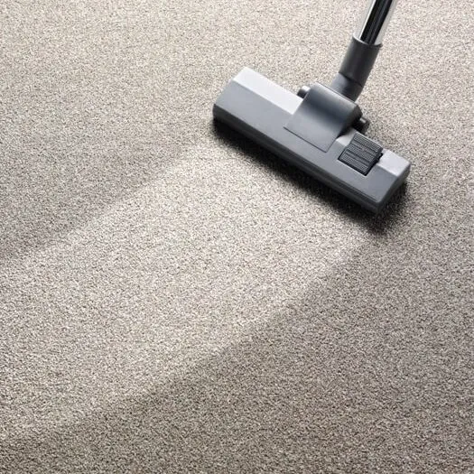 Carpet vacuum | Dothan Design Studio