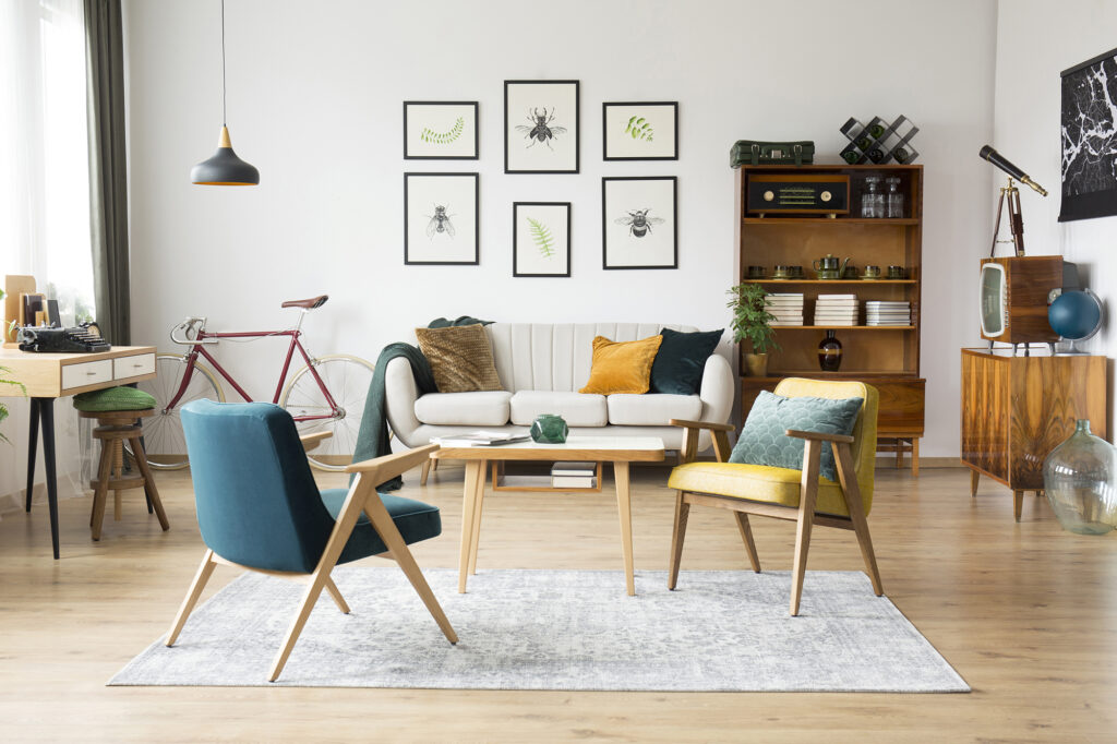 Area rug over hardwood flooring in a living room prone to winter static